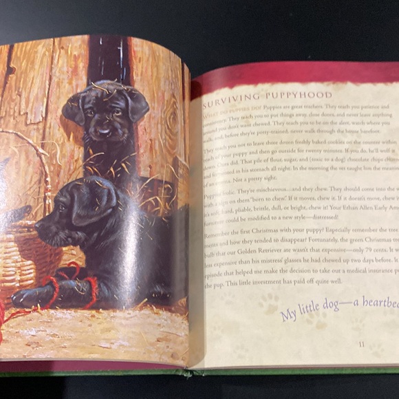 A Friend Like No Other: Live Lessons from the Dogs We Love by H. Norman Wright - Picture 6 of 8